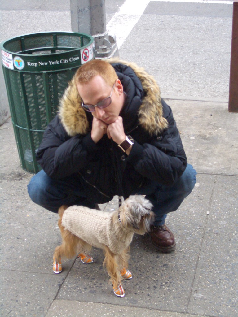 Dog wearing sneakers